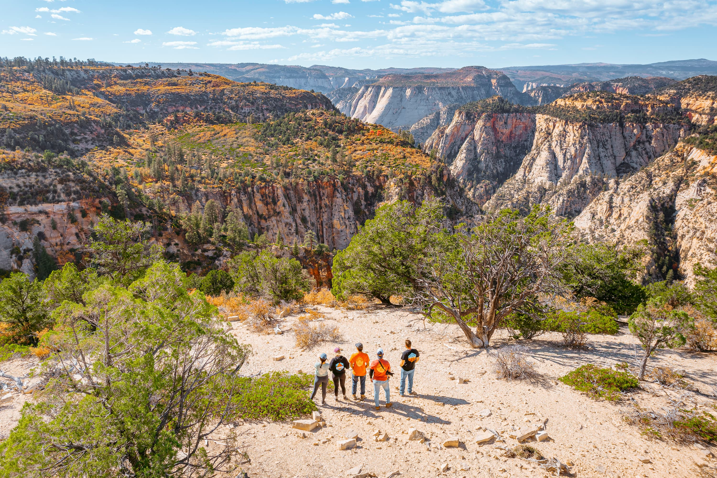 A group of four people stands on a rocky outcrop overlooking a vast canyon landscape.