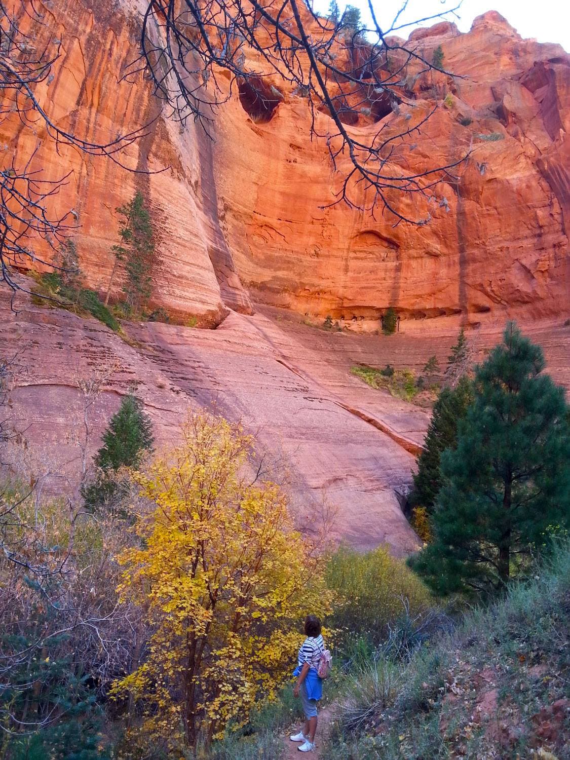A person stands in front of vibrant red rock formations and autumn foliage.