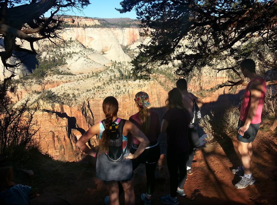 A group of hikers stand at the edge of a canyon, admiring the expansive view.