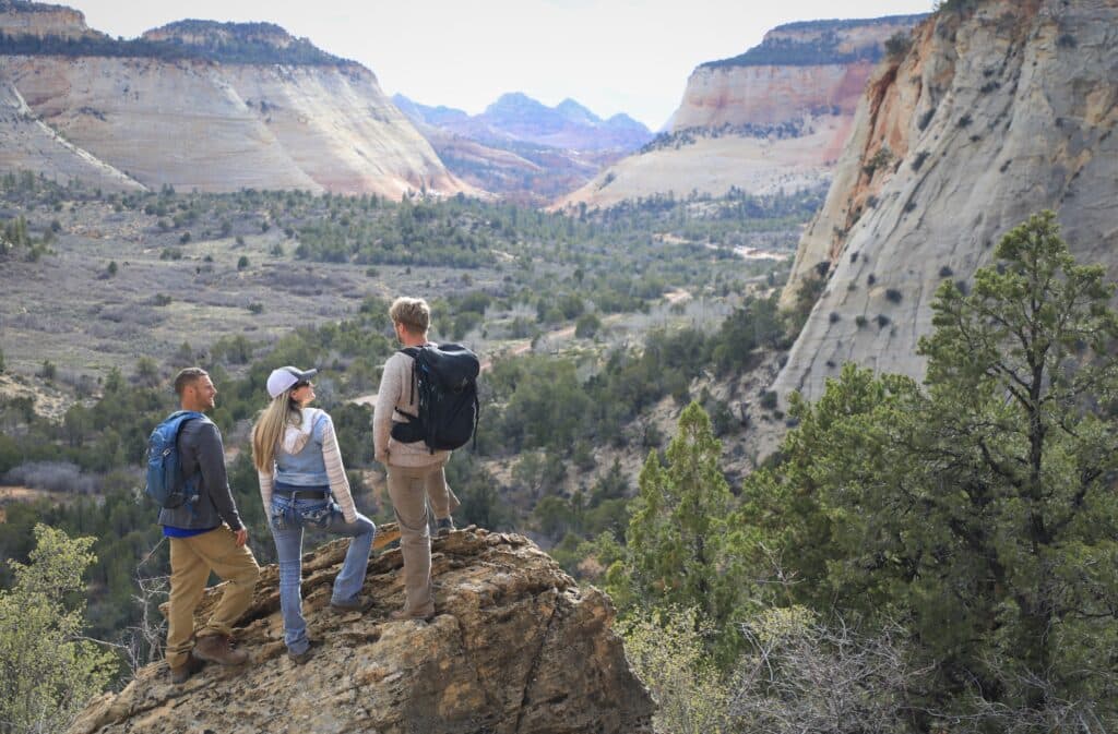 Three hikers stand on a rocky outcrop, admiring a vast canyon landscape.