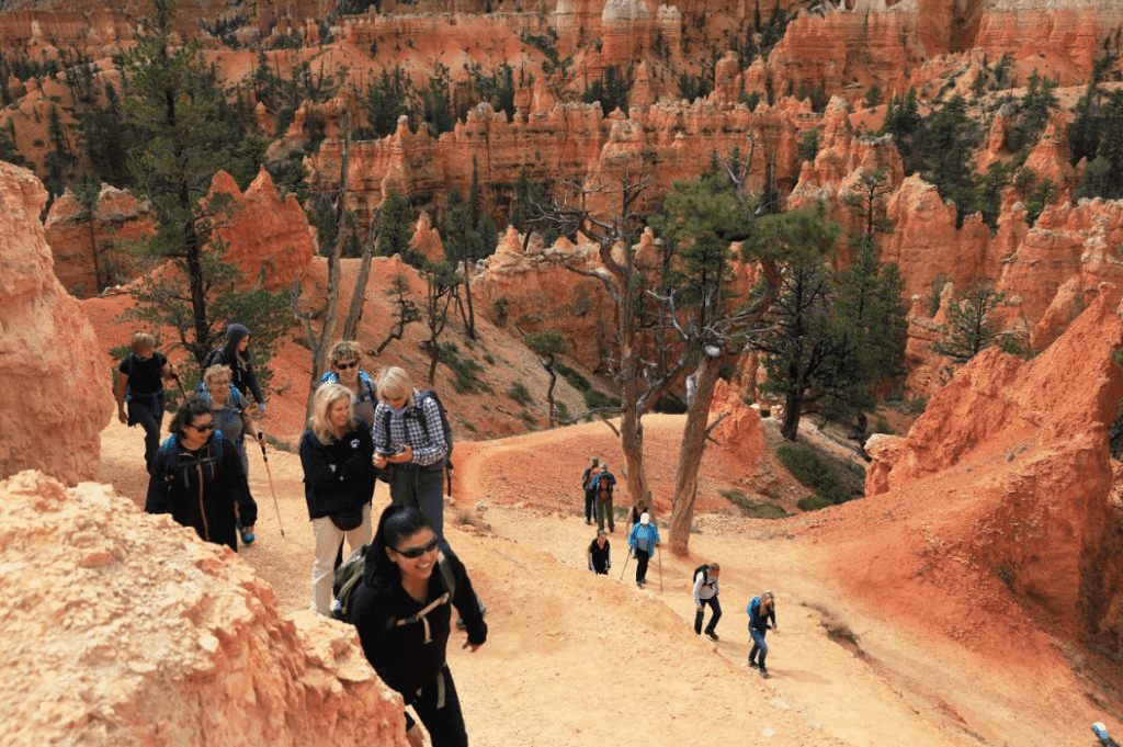 A group of hikers traverses a trail in a scenic canyon with orange rock formations.