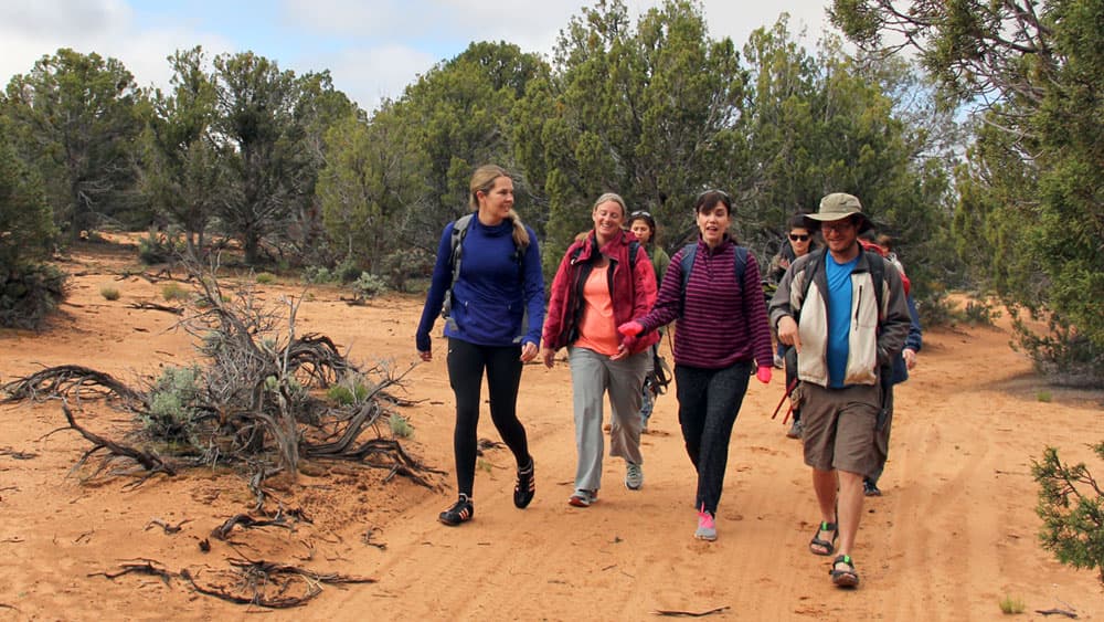 A group of hikers chats while they are on the trail in Zion National Park