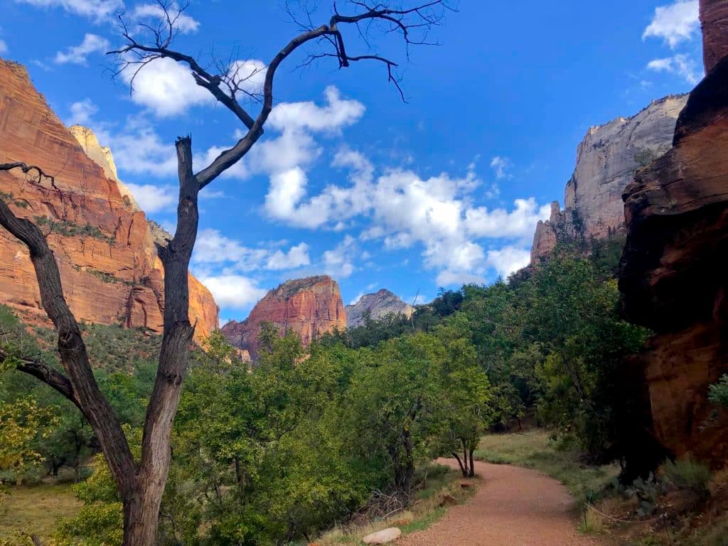 A winding trail through lush greenery surrounded by red rock formations and a bright blue sky.
