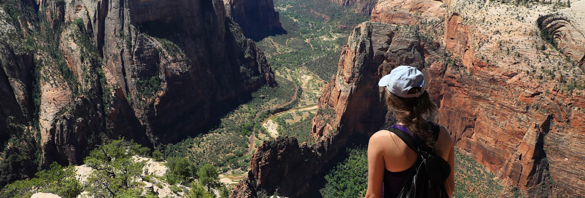 A person gazes at the stunning canyon landscape of Zion National Park.