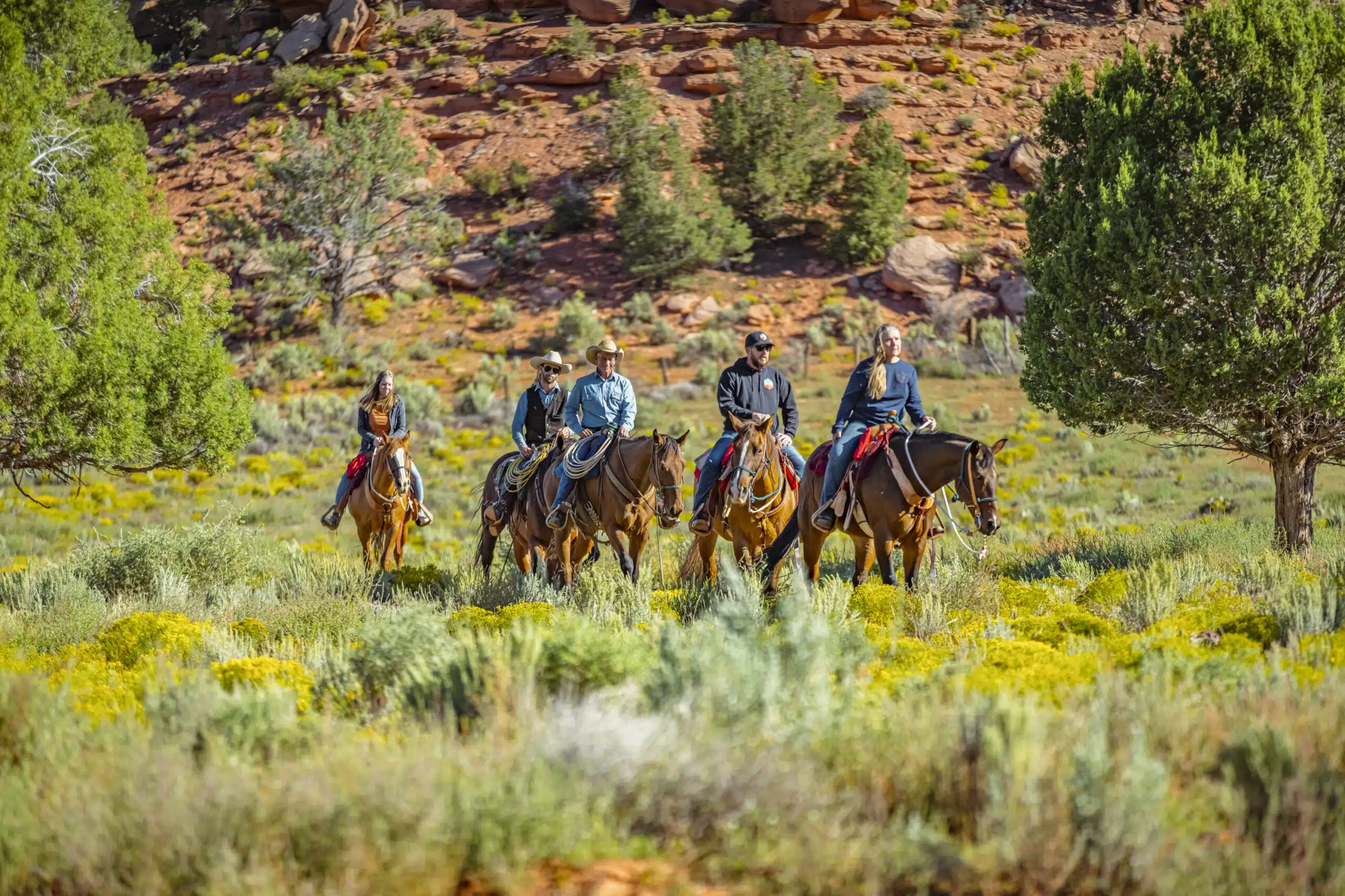 Four horseback riders pause amidst lush greenery and rocky terrain.