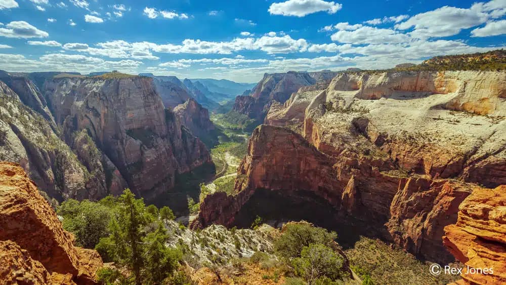 A panoramic view of Zion National Park showcasing steep canyons and vibrant landscape under a blue sky.