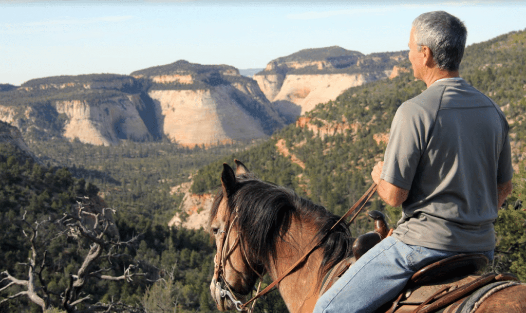 A person on horseback overlooks a rugged canyon landscape.