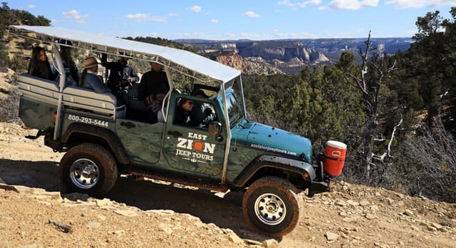 A green jeep with passengers navigates a rugged, scenic terrain in Zion National Park.
