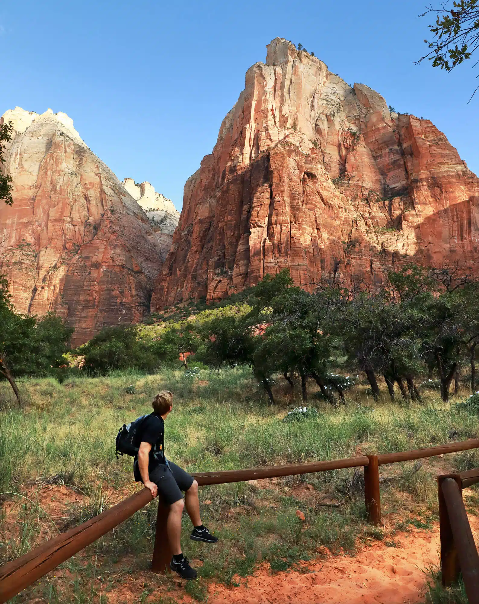 A person sits on a wooden railing, admiring the towering red rock formations of Zion National Park.