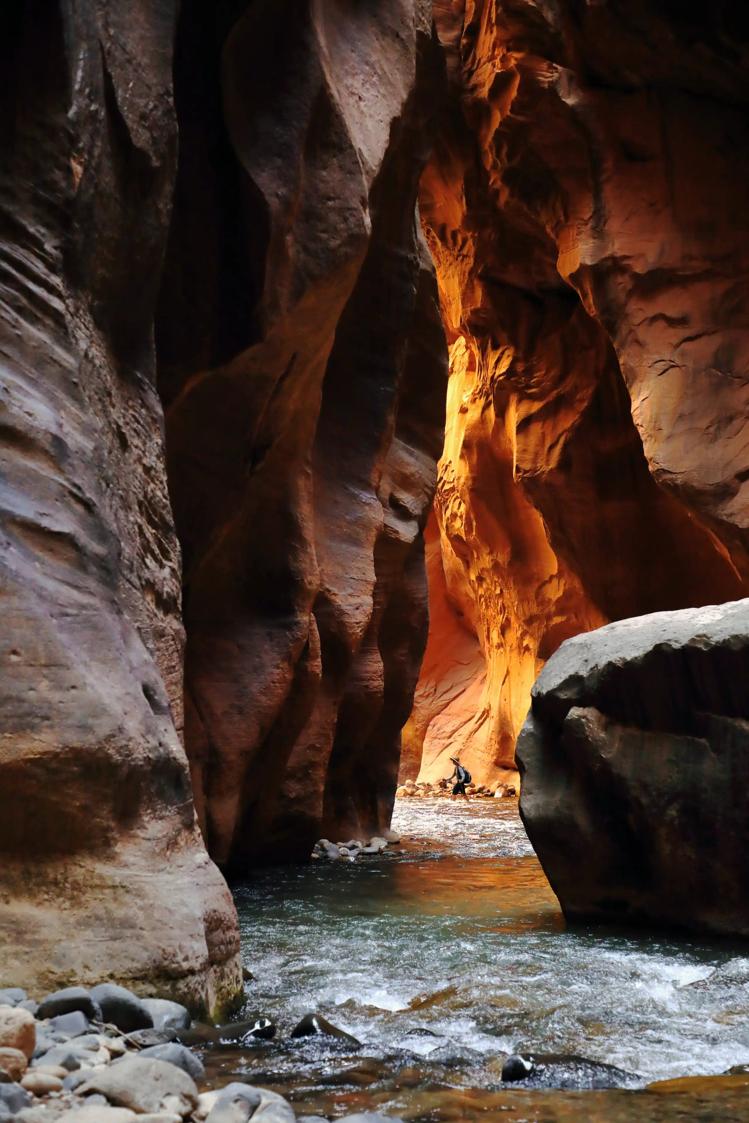 A person stands in a narrow, sunlit canyon beside flowing water.