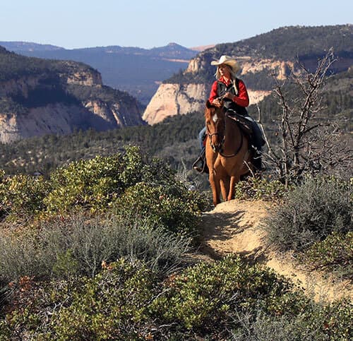 A person in a cowboy hat rides a horse along a trail in a scenic, mountainous landscape.