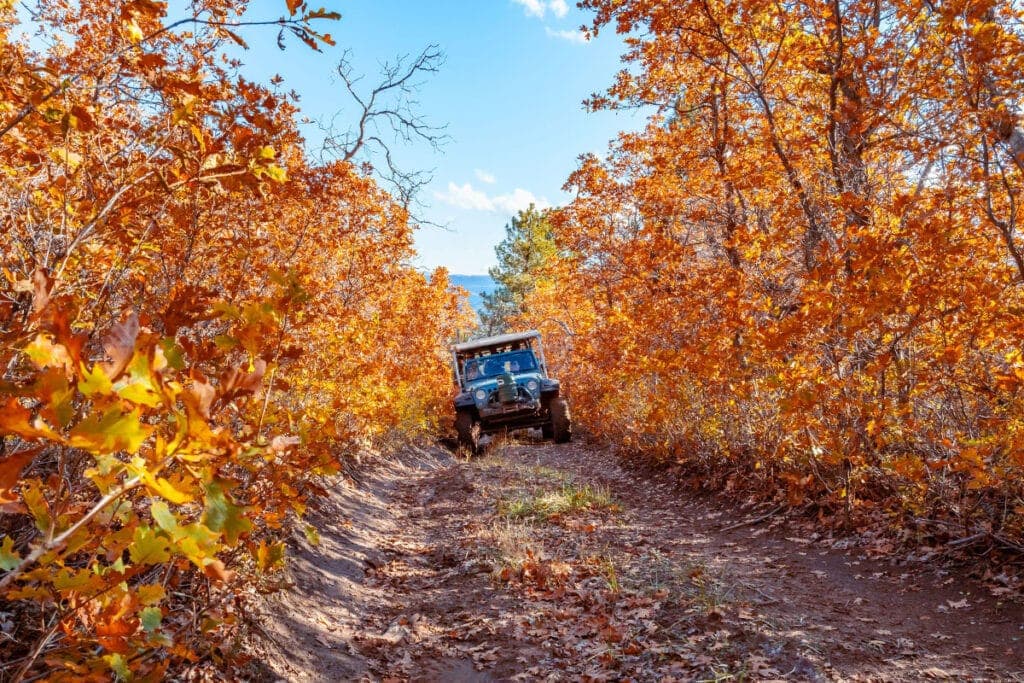 A jeep drives along a narrow trail surrounded by vibrant autumn foliage.
