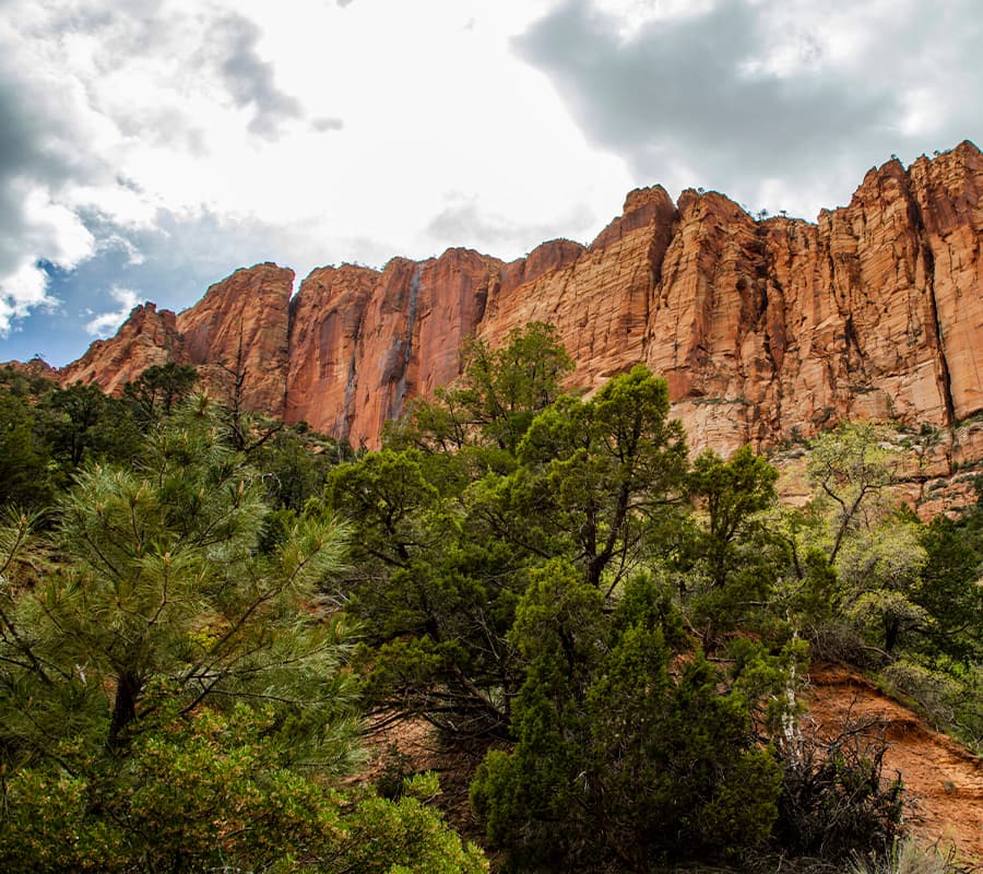 Red rock cliffs rise above lush green trees under a cloudy sky.