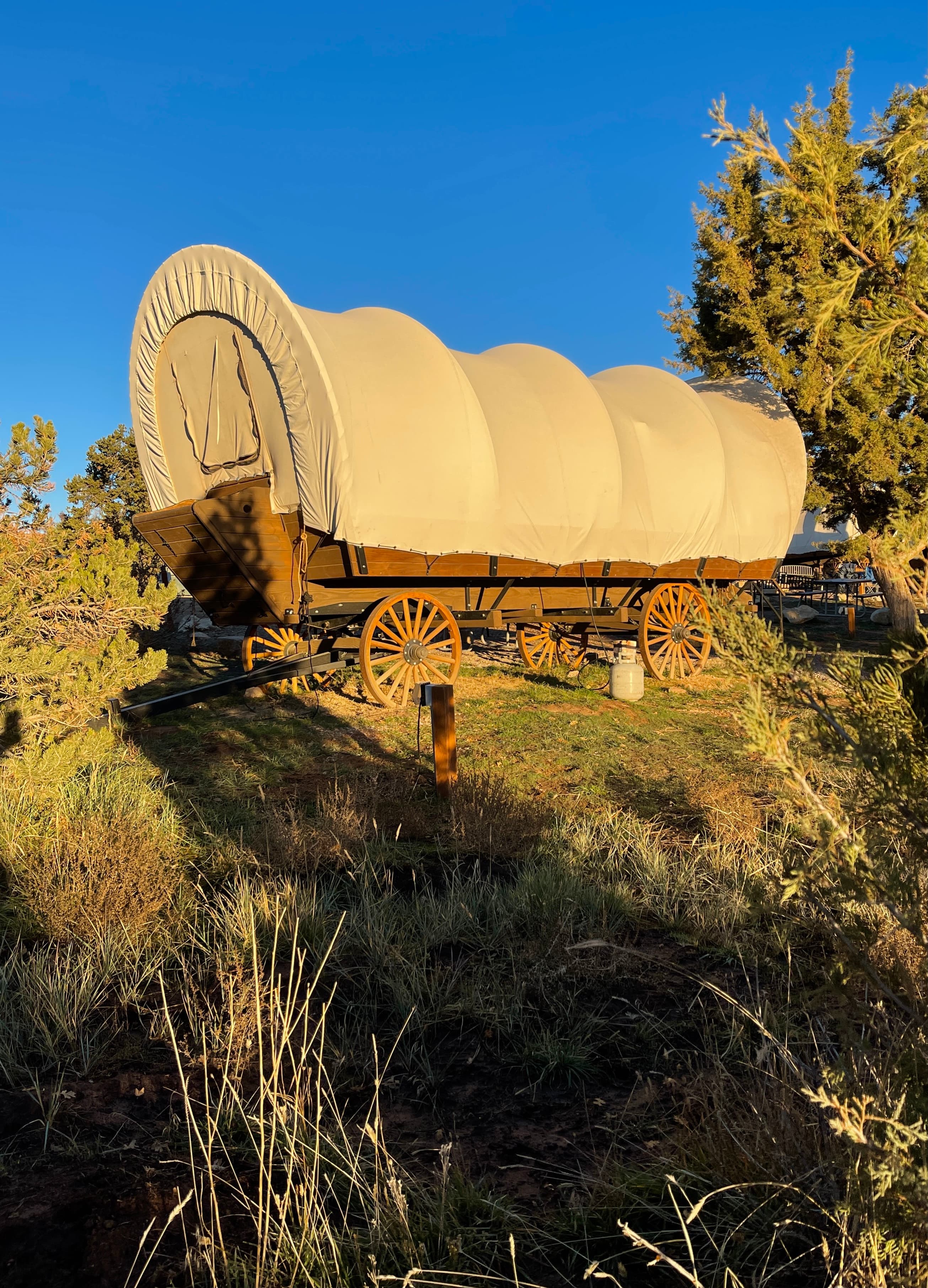A covered wagon parked on grass with the sun shining in the background.