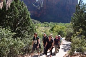 A group of hikers walks along a path surrounded by green vegetation and towering rock formations.