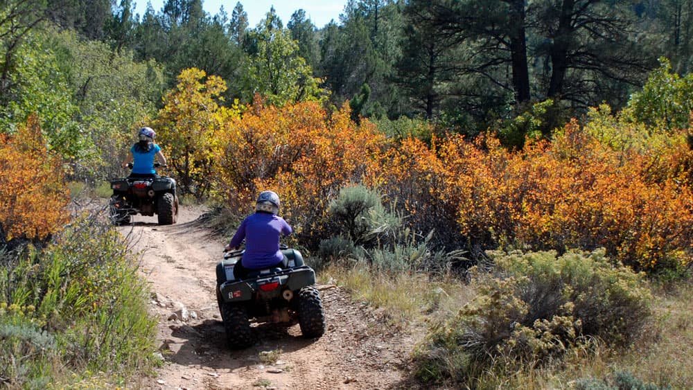 Two people riding ATVs along a wooded trail surrounded by autumn foliage.