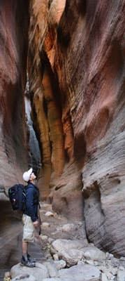 A hiker gazes up at the towering, colorful canyon walls.