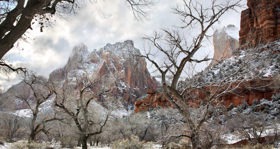 Snowy mountains and bare trees under a cloudy sky.