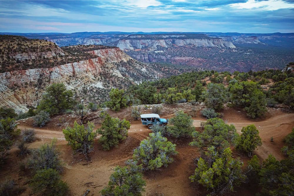 A scenic view of a rugged landscape with a dirt road winding through trees and cliffs under a cloudy sky.