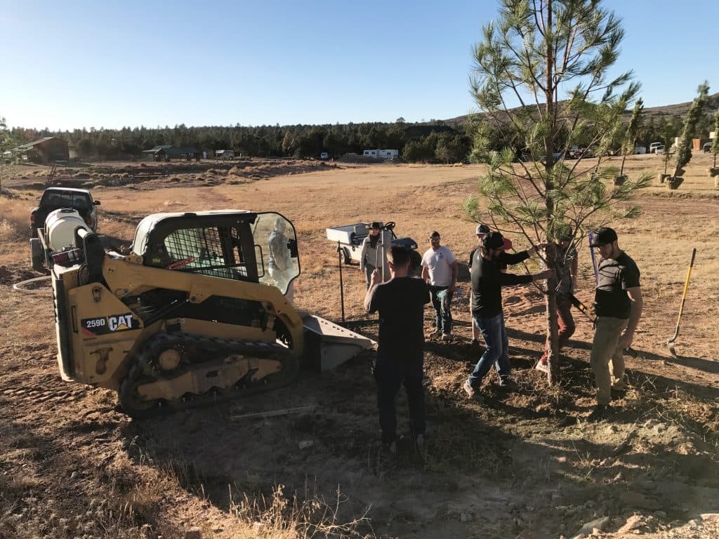 A group of people gathers around a tree being planted with the assistance of a skid steer loader in a dry, open area.