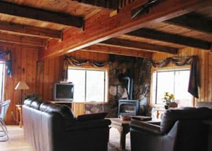 Cozy living room featuring wooden walls, leather sofas, and a stone fireplace.