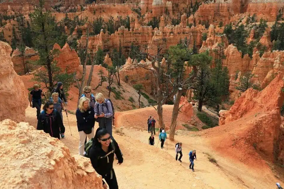 Hikers ascend a trail through vibrant orange rock formations in a national park.