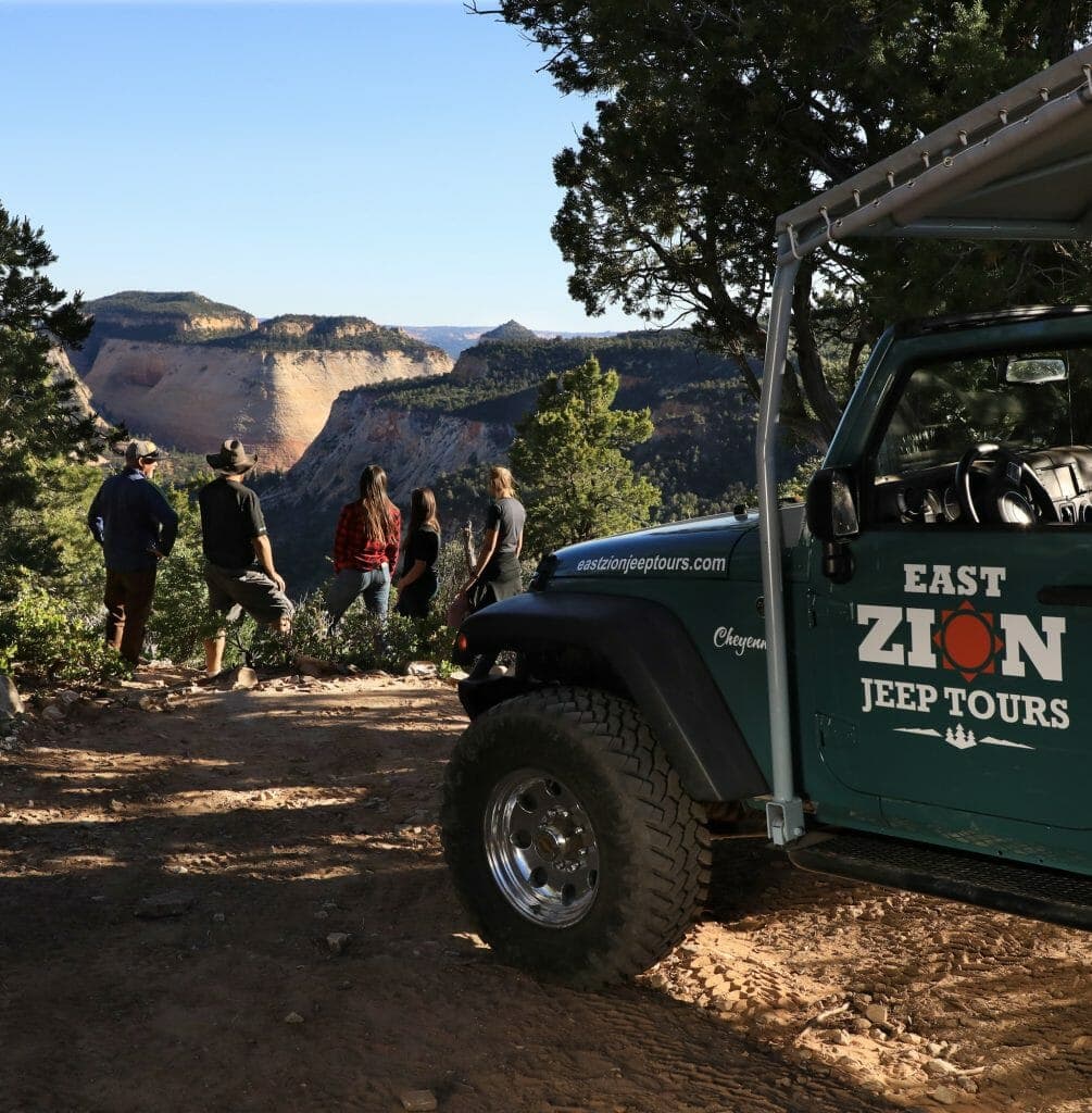 A jeep parked in the foreground with a group of people enjoying a scenic view of a canyon.