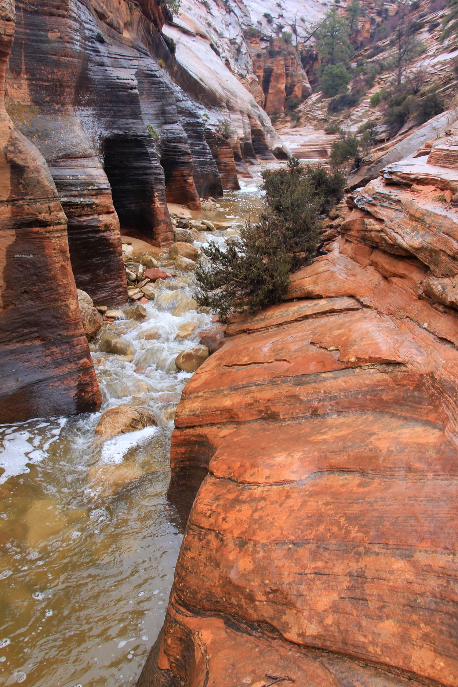 A winding river flows through a narrow canyon with striking red and brown rock formations.