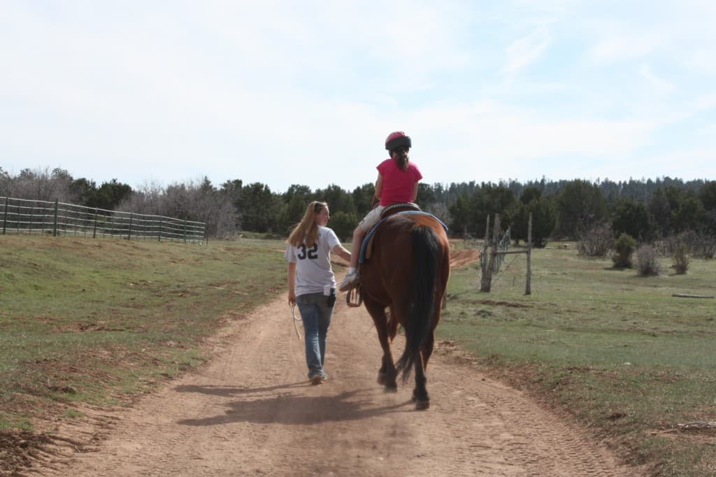 A person leads a horse along a dirt path with a child riding on it.