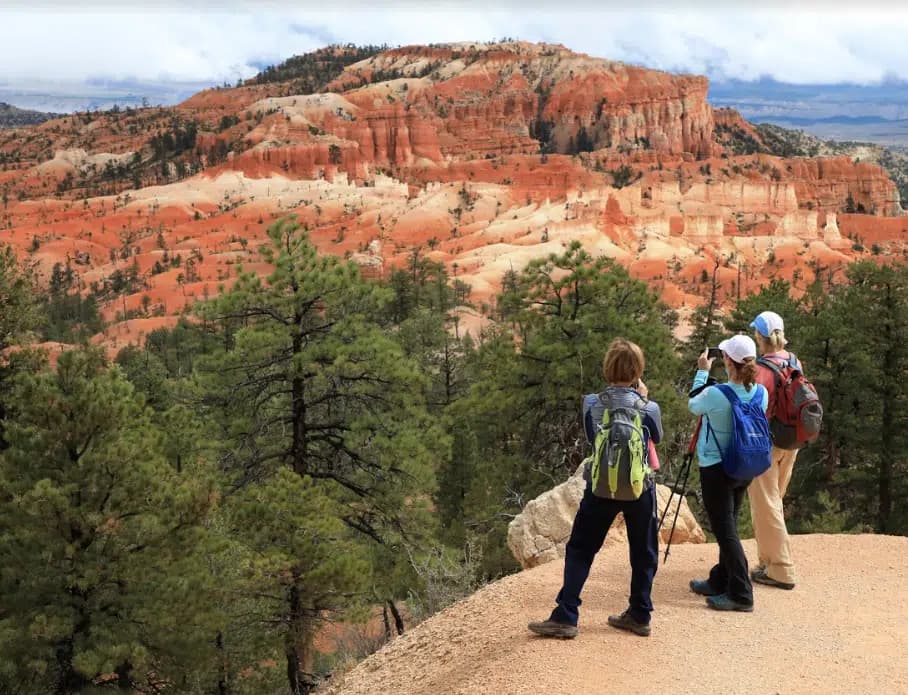 Three hikers admire a colorful rocky landscape surrounded by trees.
