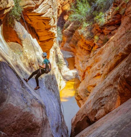 A climber rappels down a steep rock face in a vibrant canyon.