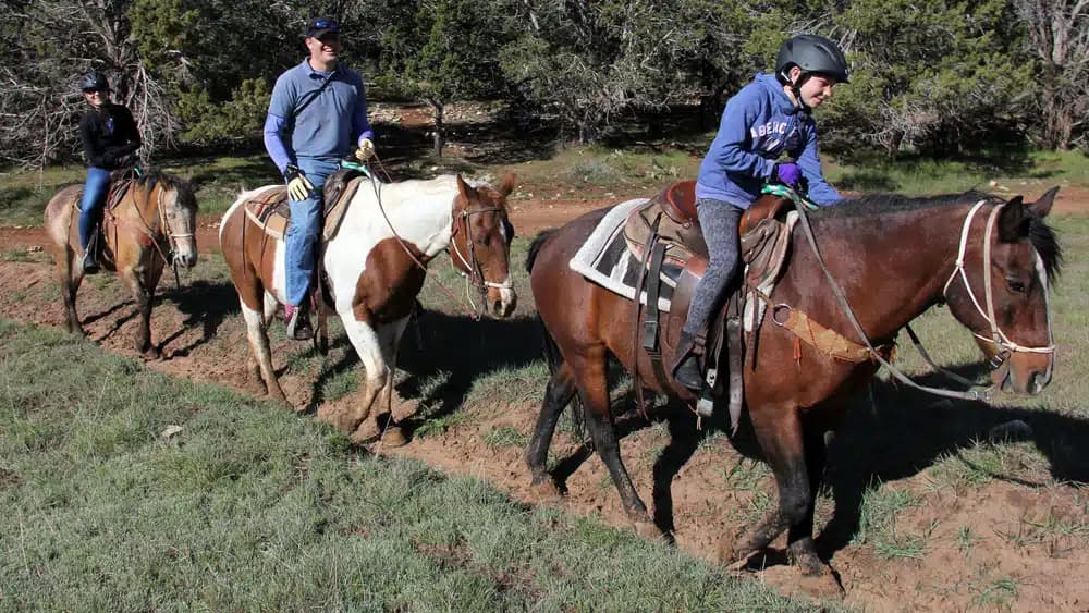 Three people riding horses along a dirt trail in a grassy area.