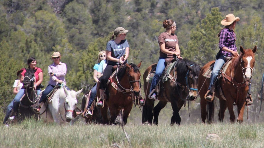 A group of six women ride horses through a grassy area with trees in the background.