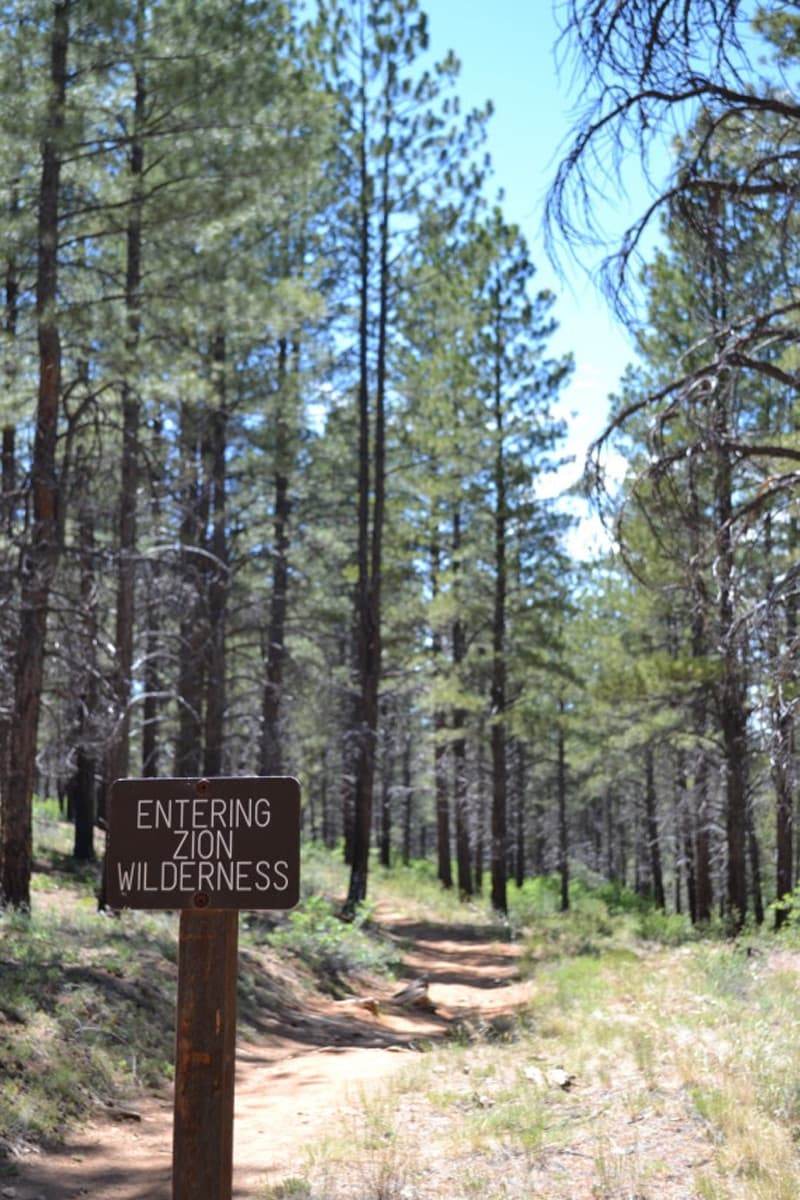 A wooden sign reads "Entering Zion Wilderness" along a forested trail.