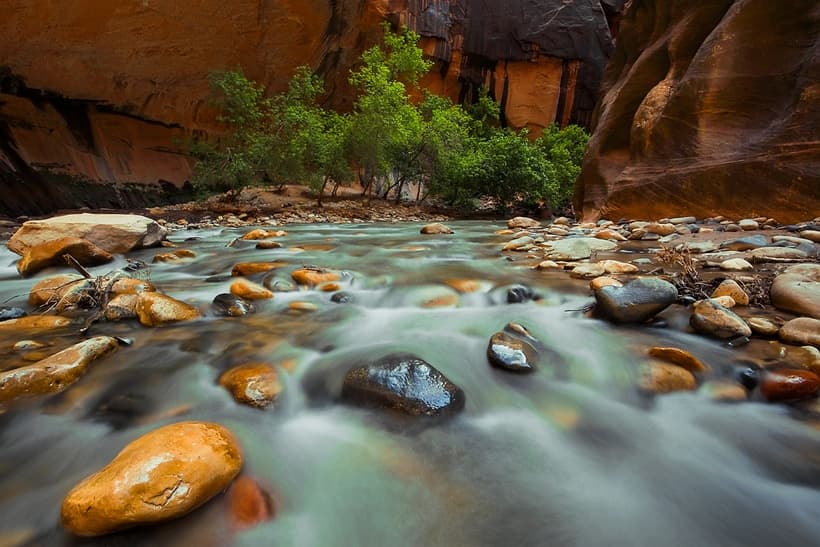 Zion Narrows Zion Ponderosa