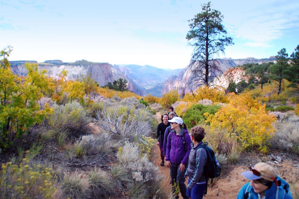 A group of hikers explores a colorful, autumn landscape with canyon views.