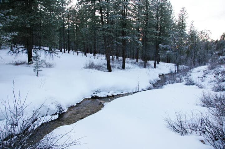 A snowy landscape with a meandering stream and tall evergreen trees.