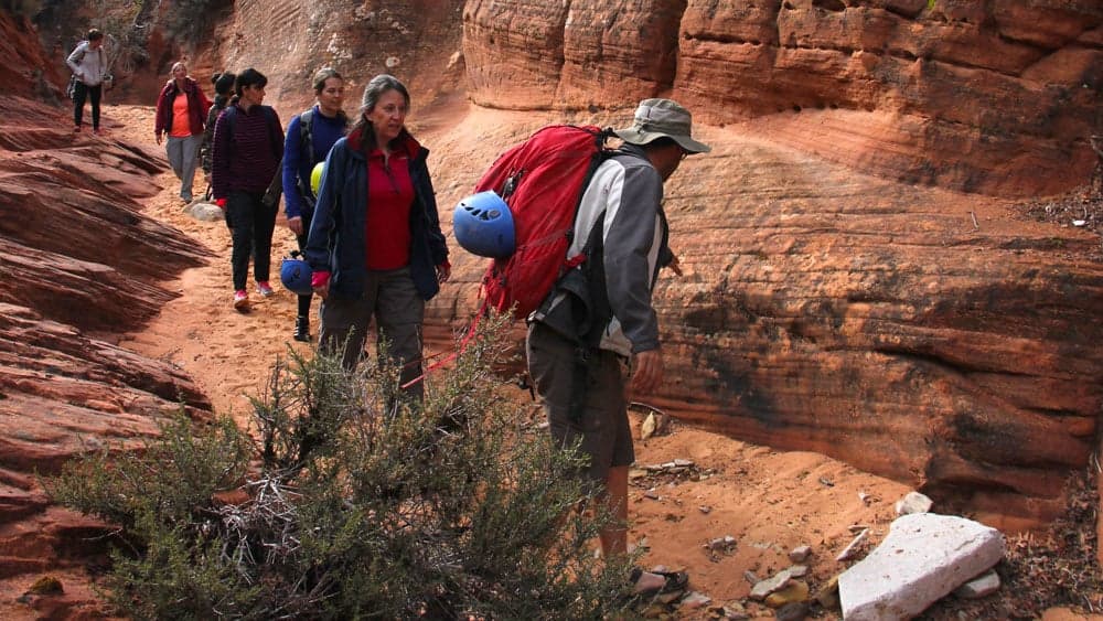 A group of hikers navigates a sandy trail in a rocky canyon landscape.