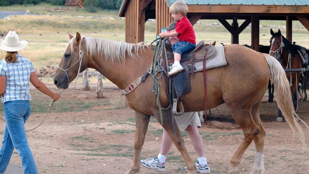 A young boy in a red shirt rides a horse while being led by an adult.