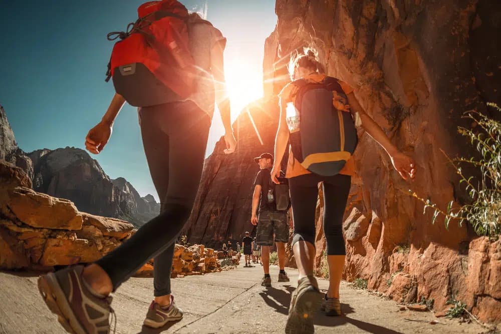 Three hikers walking along a sunlit path in a rocky canyon.