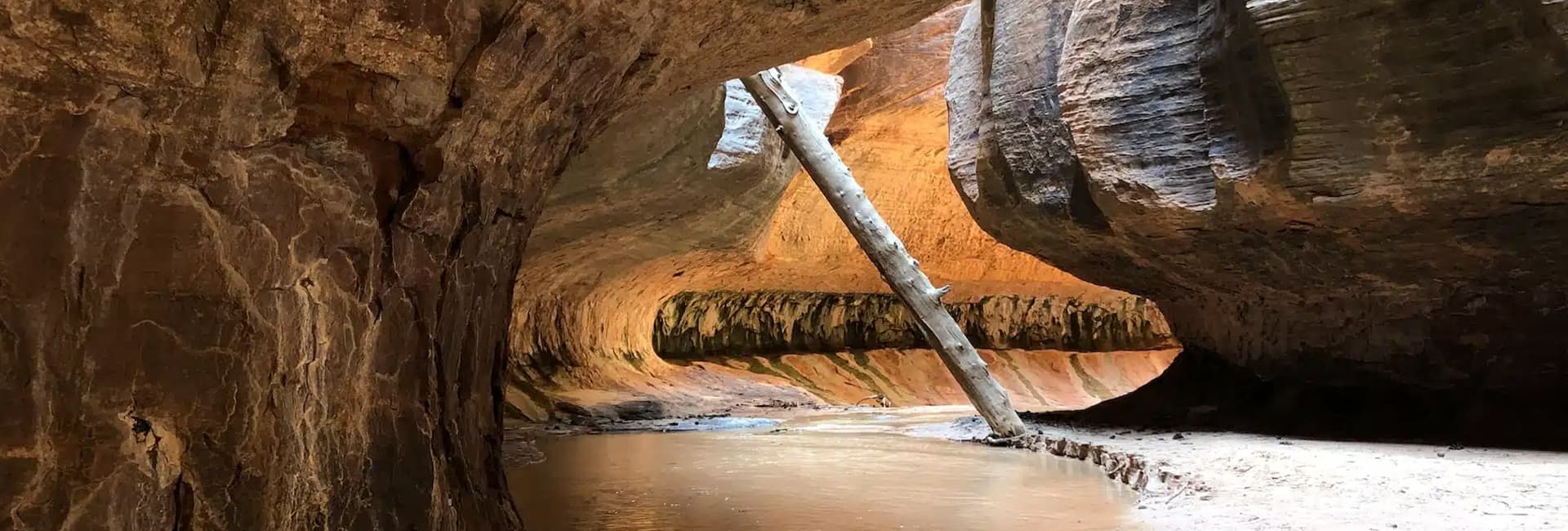 A serene canyon interior featuring smooth stone walls and a river flowing beneath a fallen tree.