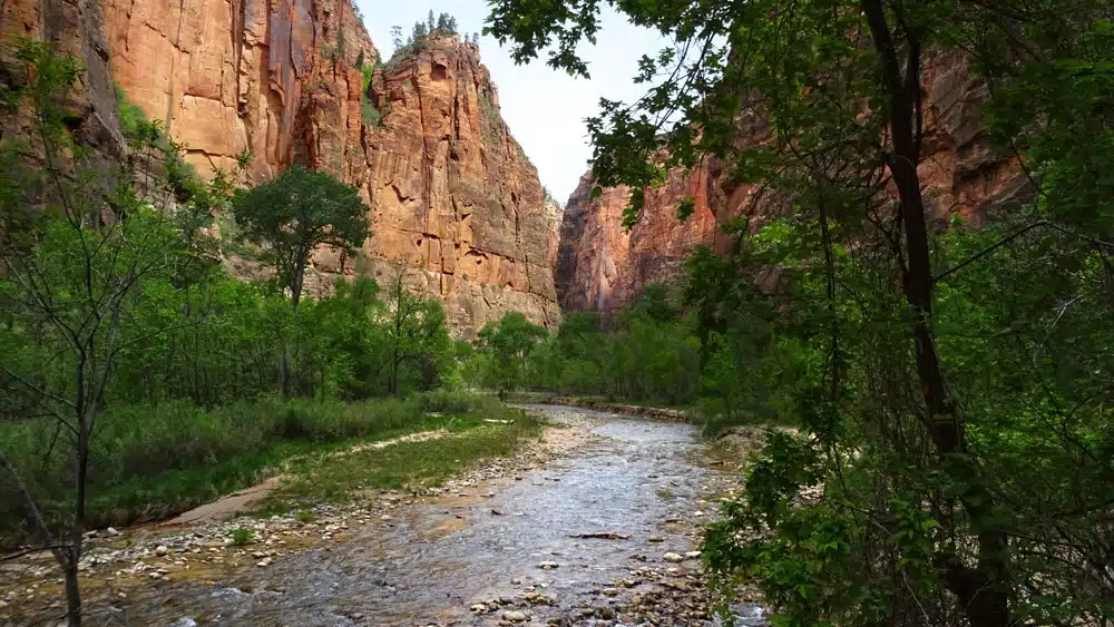 A winding river flows through a rocky canyon surrounded by lush greenery.