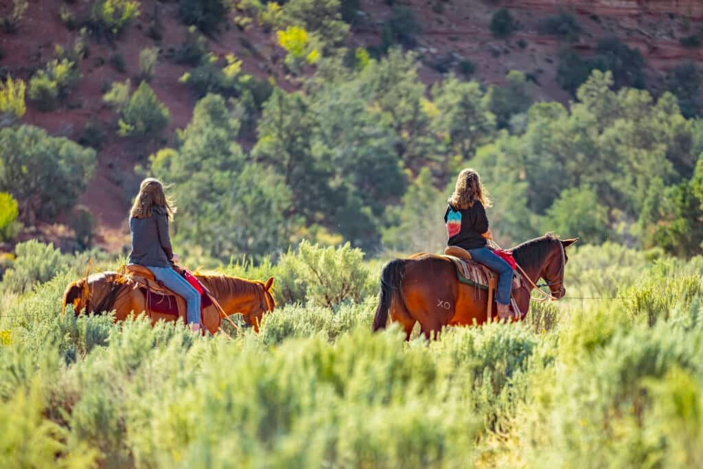 Two people ride horses through a lush, green landscape.
