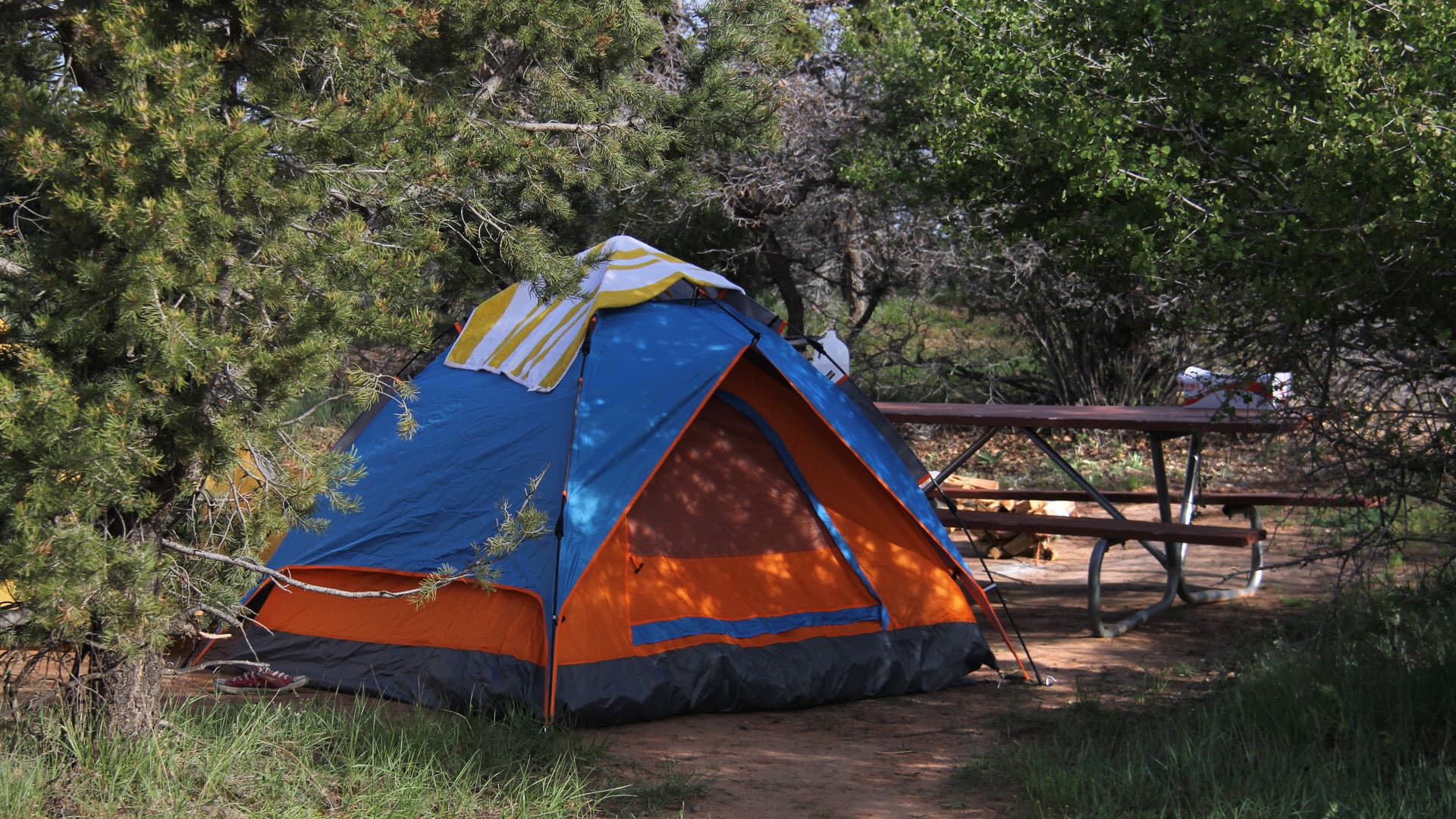A blue and orange tent is nestled among trees near a picnic table in a natural setting.