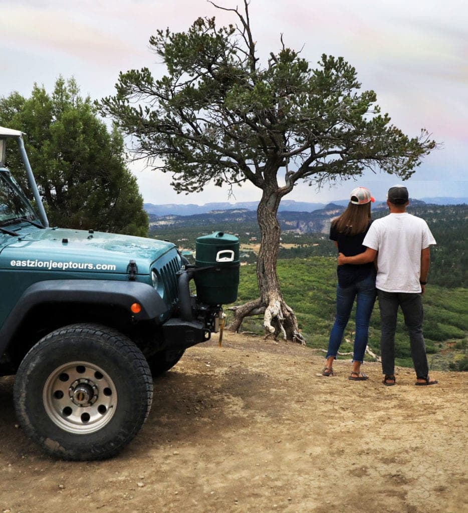A couple stands together by a jeep, gazing at a scenic landscape with trees and mountains.