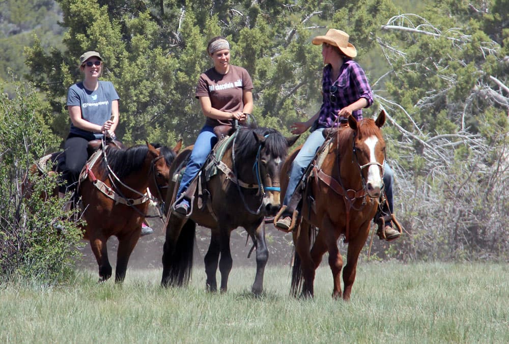 Three women on horseback conversing in a grassy landscape.