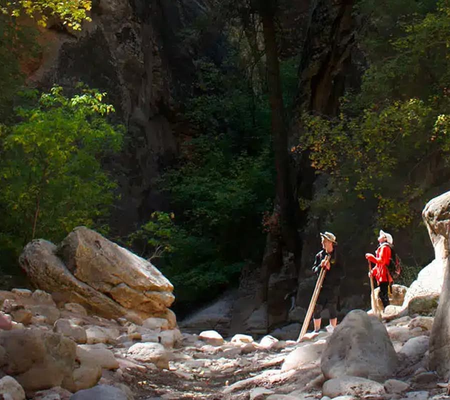 Two hikers stand in a rocky, narrow canyon surrounded by greenery.