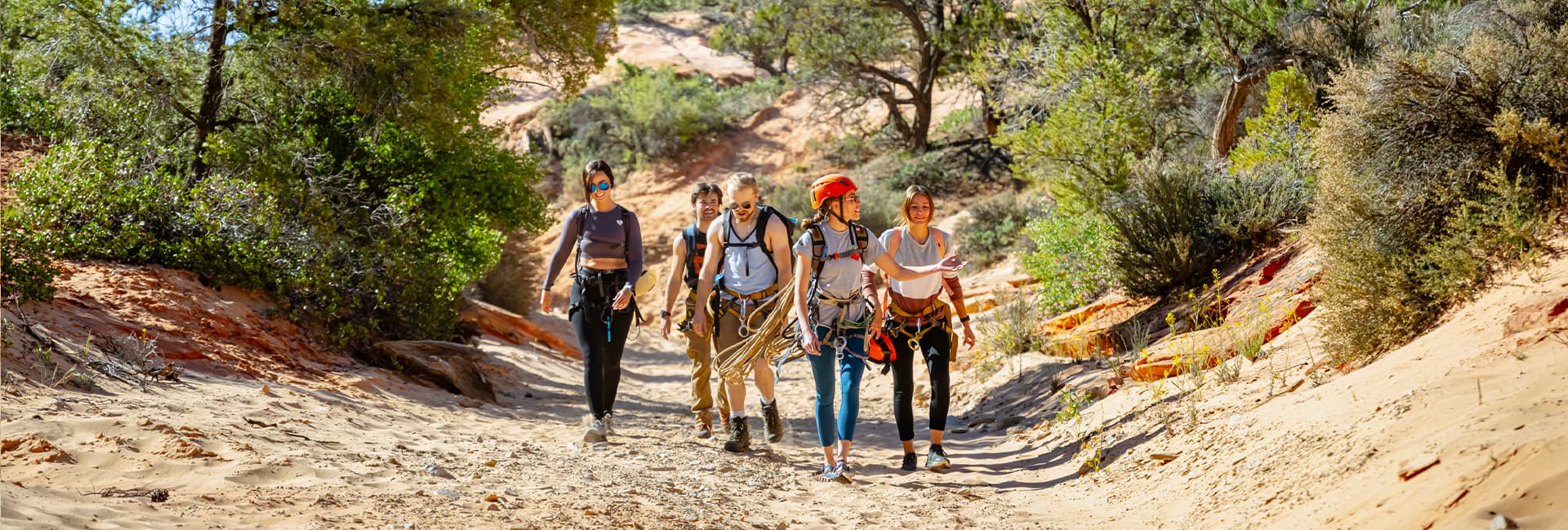 A group of four people hiking on a sandy trail in a rugged outdoor landscape.