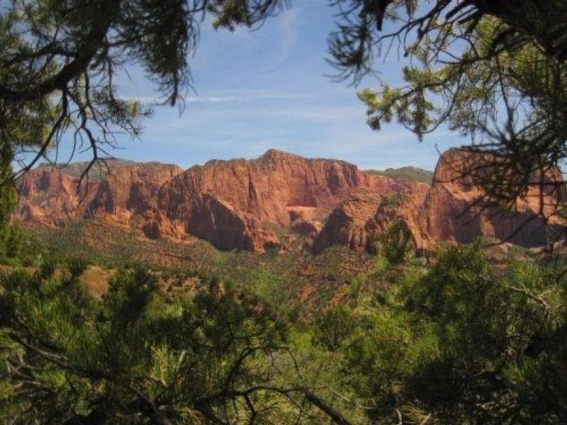 Red rock formations framed by green foliage under a clear blue sky.