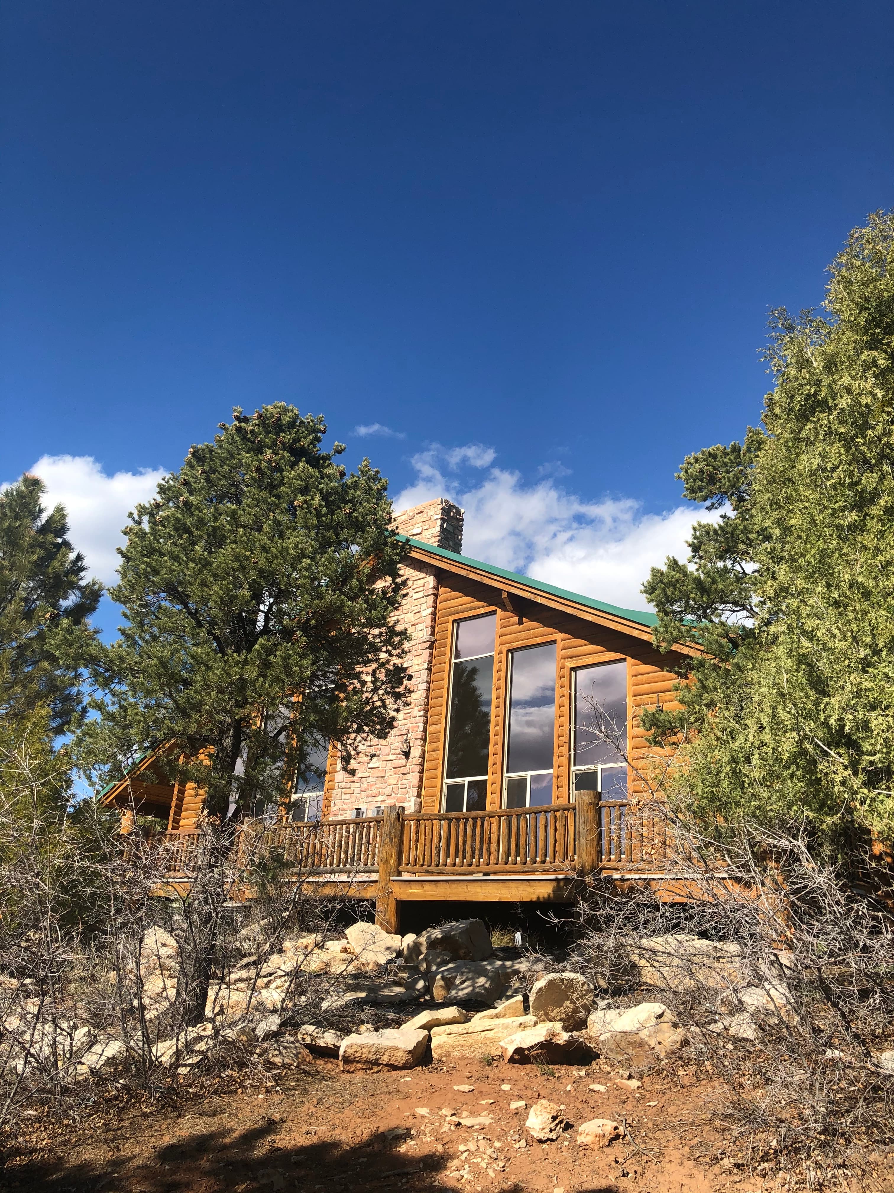 A wooden cabin with large windows sits among shrubs and trees under a blue sky.